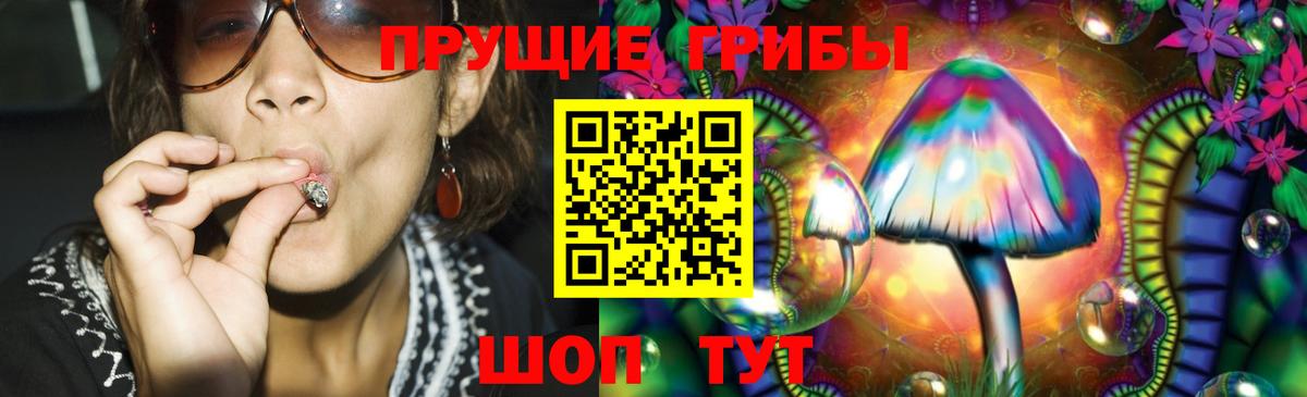 магазин  наркотиков  Псилоцибиновые грибы Psilocybine cubensis  Вход с VPN  Стрежевой  Псилоцибиновые грибы Psilocybe 
