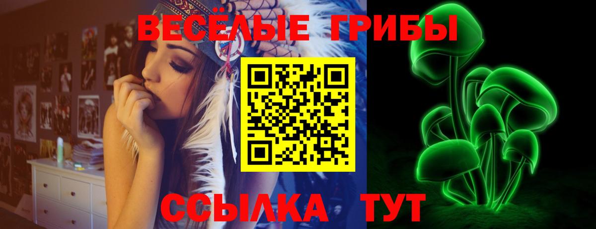 Псилоцибиновые грибы Psilocybe Стрежевой